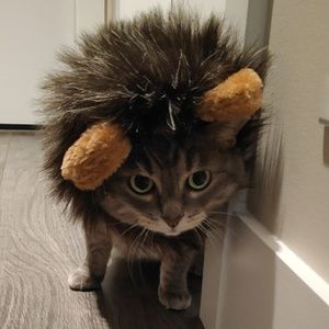 Meet your Posher, Joanne